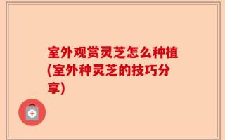 室外观赏灵芝怎么种植(室外种灵芝的技巧分享)