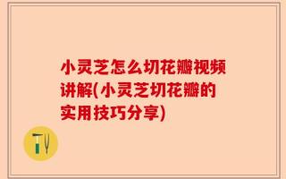 小灵芝怎么切花瓣视频讲解(小灵芝切花瓣的实用技巧分享)