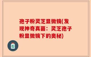 孢子粉灵芝显微镜(发现神奇真菌：灵芝孢子粉显微镜下的奥秘)