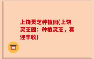 上饶灵芝种植园(上饶灵芝园：种植灵芝，喜迎丰收)
