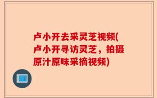 卢小开去采灵芝视频(卢小开寻访灵芝，拍摄原汁原味采摘视频)