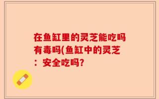在鱼缸里的灵芝能吃吗有毒吗(鱼缸中的灵芝：安全吃吗？