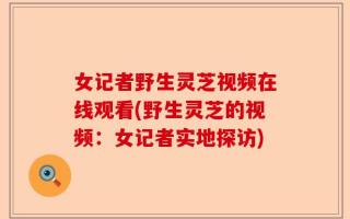 女记者野生灵芝视频在线观看(野生灵芝的视频：女记者实地探访)