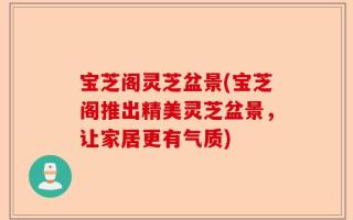 宝芝阁灵芝盆景(宝芝阁推出精美灵芝盆景，让家居更有气质)