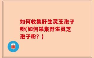 如何收集野生灵芝孢子粉(如何采集野生灵芝孢子粉？)