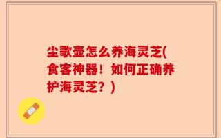 尘歌壶怎么养海灵芝(食客神器！如何正确养护海灵芝？)