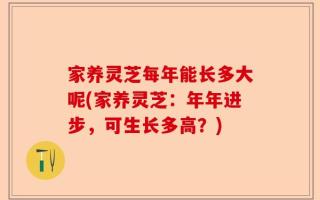 家养灵芝每年能长多大呢(家养灵芝：年年进步，可生长多高？)