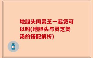 地胆头同灵芝一起煲可以吗(地胆头与灵芝煲汤的搭配解析)