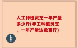 人工种植灵芝一年产量多少斤(手工种植灵芝，一年产量达数百斤)