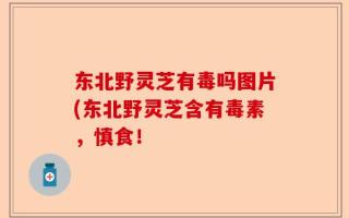 东北野灵芝有毒吗图片(东北野灵芝含有毒素，慎食！