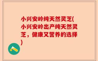 小兴安岭纯天然灵芝(小兴安岭出产纯天然灵芝，健康又营养的选择)