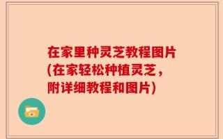 在家里种灵芝教程图片(在家轻松种植灵芝，附详细教程和图片)