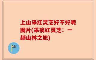 上山采红灵芝好不好呢图片(采摘红灵芝：一趟山林之旅)