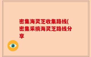 密集海灵芝收集路线(密集采摘海灵芝路线分享