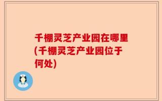 千棚灵芝产业园在哪里(千棚灵芝产业园位于何处)