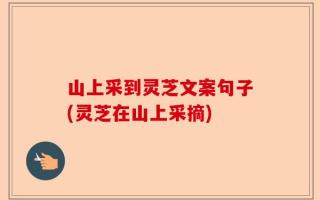 山上采到灵芝文案句子(灵芝在山上采摘)