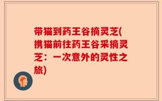带猫到药王谷摘灵芝(携猫前往药王谷采摘灵芝：一次意外的灵性之旅)