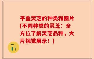 平盖灵芝的种类和图片(不同种类的灵芝：全方位了解灵芝品种，大片视觉展示！)