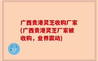 广西贵港灵芝收购厂家(广西贵港灵芝厂家被收购，业界震动)