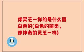 像灵芝一样的是什么菌白色的(白色的菌类，像神奇的灵芝一样)