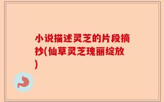 小说描述灵芝的片段摘抄(仙草灵芝瑰丽绽放)