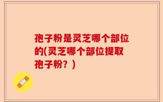 孢子粉是灵芝哪个部位的(灵芝哪个部位提取孢子粉？)