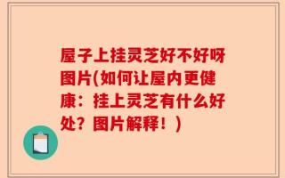 屋子上挂灵芝好不好呀图片(如何让屋内更健康：挂上灵芝有什么好处？图片解释！)