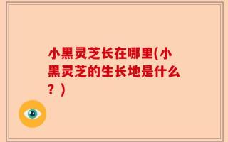 小黑灵芝长在哪里(小黑灵芝的生长地是什么？)