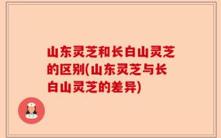 山东灵芝和长白山灵芝的区别(山东灵芝与长白山灵芝的差异)