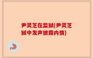 尹灵芝在监狱(尹灵芝狱中发声披露内情)
