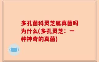 多孔菌科灵芝属真菌吗为什么(多孔灵芝：一种神奇的真菌)