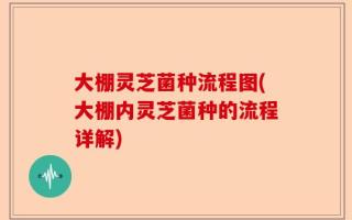 大棚灵芝菌种流程图(大棚内灵芝菌种的流程详解)