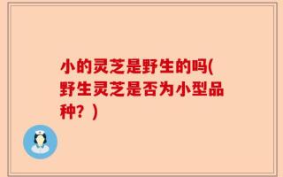 小的灵芝是野生的吗(野生灵芝是否为小型品种？)
