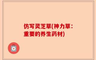 仿写灵芝草(神力草：重要的养生药材)