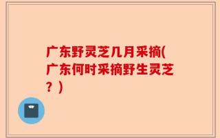 广东野灵芝几月采摘(广东何时采摘野生灵芝？)