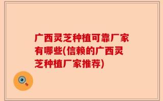 广西灵芝种植可靠厂家有哪些(信赖的广西灵芝种植厂家推荐)