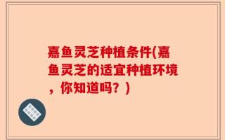 嘉鱼灵芝种植条件(嘉鱼灵芝的适宜种植环境，你知道吗？)