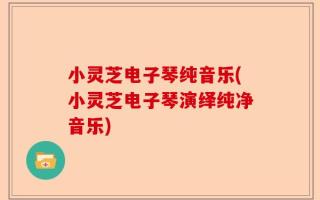 小灵芝电子琴纯音乐(小灵芝电子琴演绎纯净音乐)
