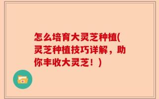怎么培育大灵芝种植(灵芝种植技巧详解，助你丰收大灵芝！)