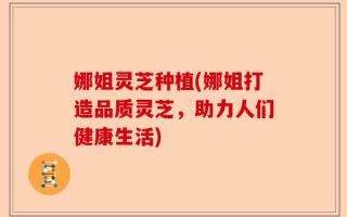 娜姐灵芝种植(娜姐打造品质灵芝，助力人们健康生活)