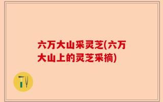 六万大山采灵芝(六万大山上的灵芝采摘)