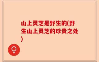 山上灵芝是野生的(野生山上灵芝的珍贵之处)