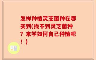 怎样种植灵芝菌种在哪买到(找不到灵芝菌种？来学如何自己种植吧！)