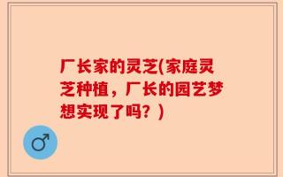 厂长家的灵芝(家庭灵芝种植，厂长的园艺梦想实现了吗？)