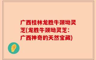 广西桂林龙胜牛颈坳灵芝(龙胜牛颈坳灵芝：广西神奇的天然宝藏)