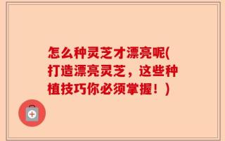 怎么种灵芝才漂亮呢(打造漂亮灵芝，这些种植技巧你必须掌握！)
