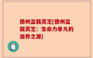 德州盆栽灵芝(德州盆栽灵芝：生命力非凡的滋养之源)