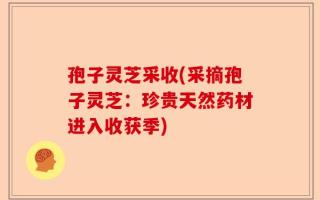 孢子灵芝采收(采摘孢子灵芝：珍贵天然药材进入收获季)