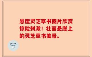 悬崖灵芝草书图片欣赏惊险刺激！壮丽悬崖上的灵芝草书美景。