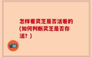 怎样看灵芝是否活着的(如何判断灵芝是否存活？)